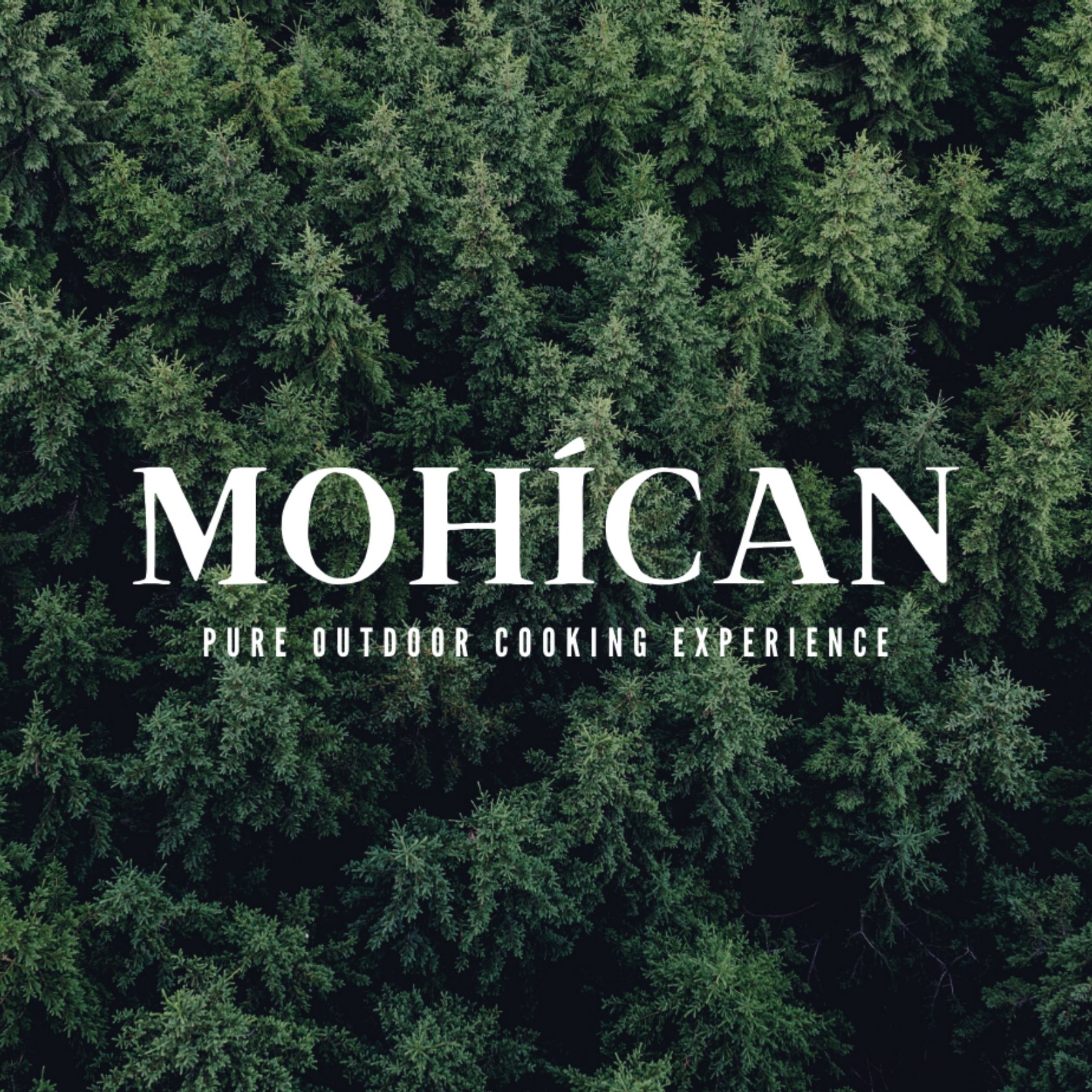 Mohican Logo