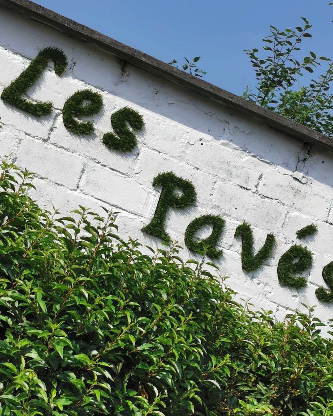Les Pavés