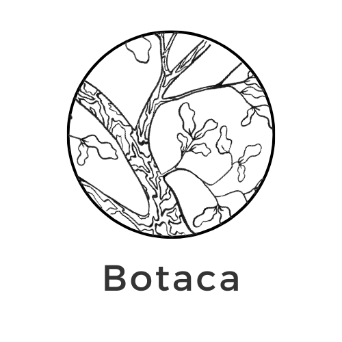 Logo Botaca