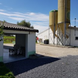 Movemint in Vinkt