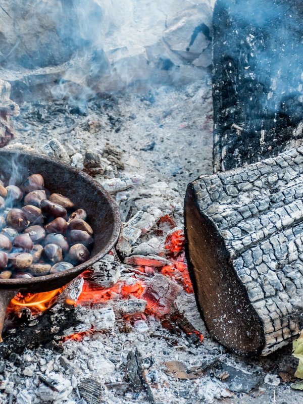 kastanjes_mohican experience outdoor