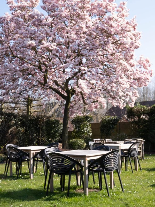 Brasserie Eventzaal De Sterre