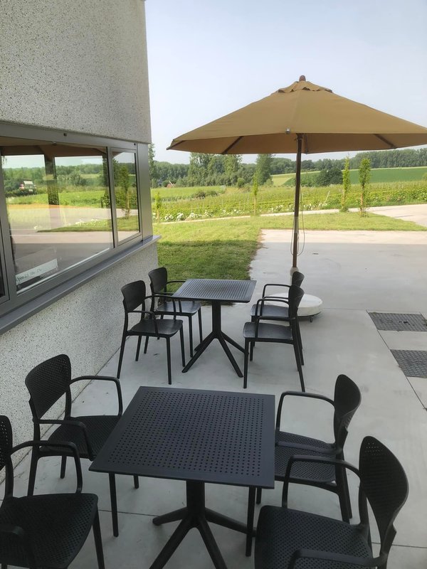 Wijndomein Près de Gand  terras