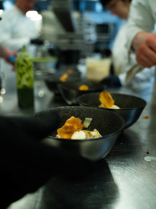 hof ter velden moord aan tafel dendermonde