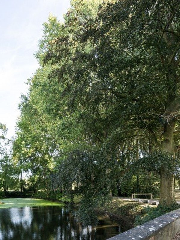 Kasteel te Lake Zulte
