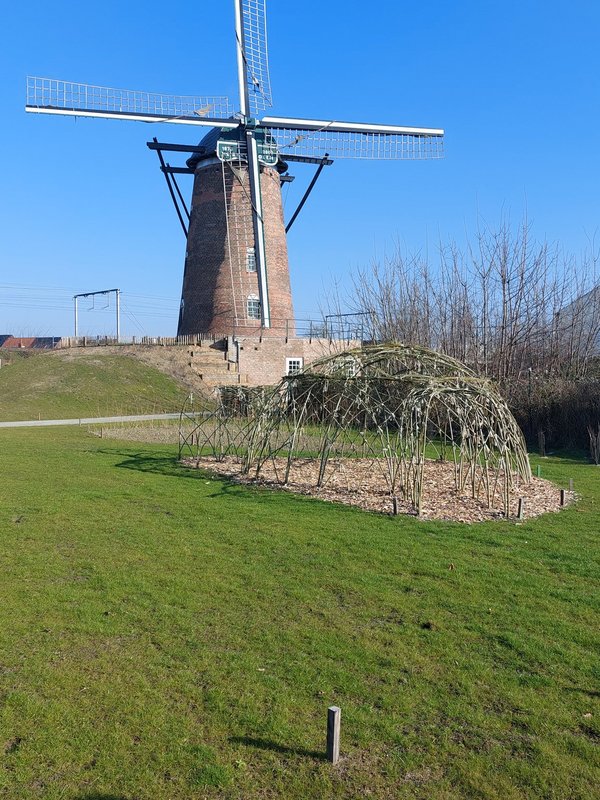 De Molen Lokeren