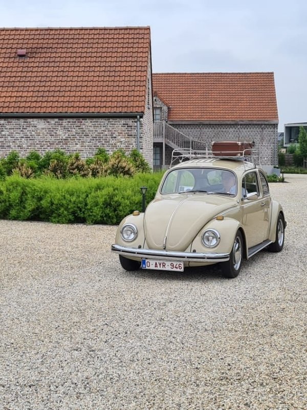 't Meesterhof Deinze