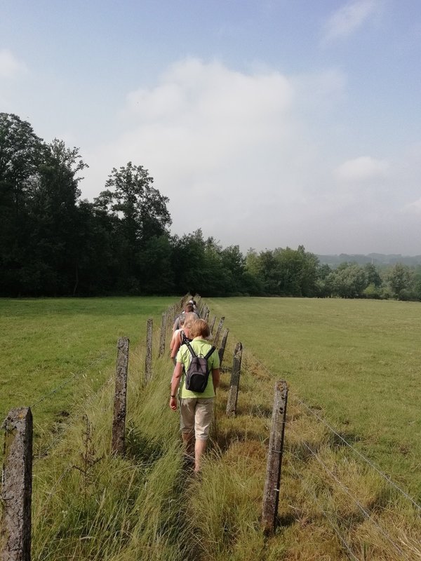 Aquakine zottegem meeting en eventlocatie uitvalsbasis voor wandelingen vlaamse ardennen vergadering in het groen zwembad teambuilding