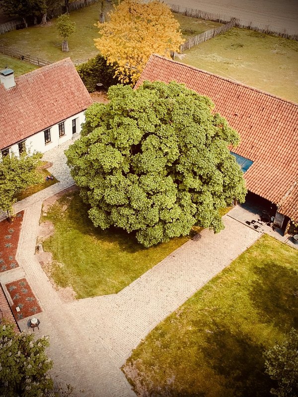 boereau vergaderhoeve en workshop weide vlaamse ardennen