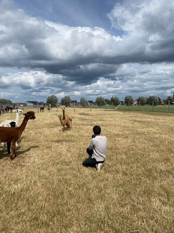 Sylvie maakt een foto van de alpaca's in het mooie landschap