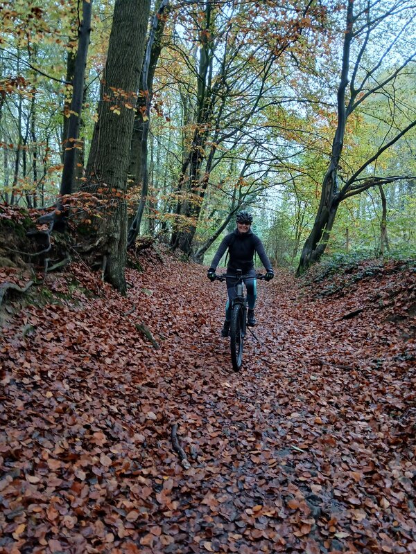 E-mountainbiker in het bos