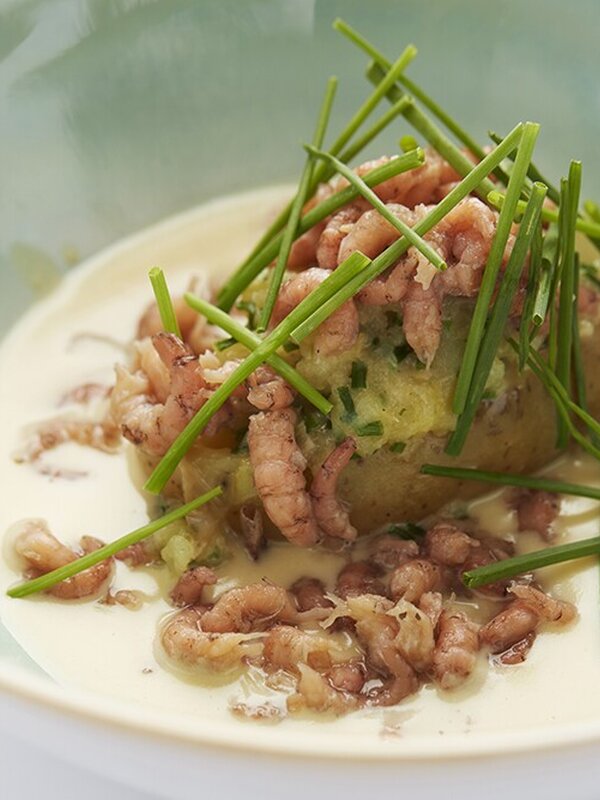 Gerechtje met garnaaltjes bij Het Geuzenhof